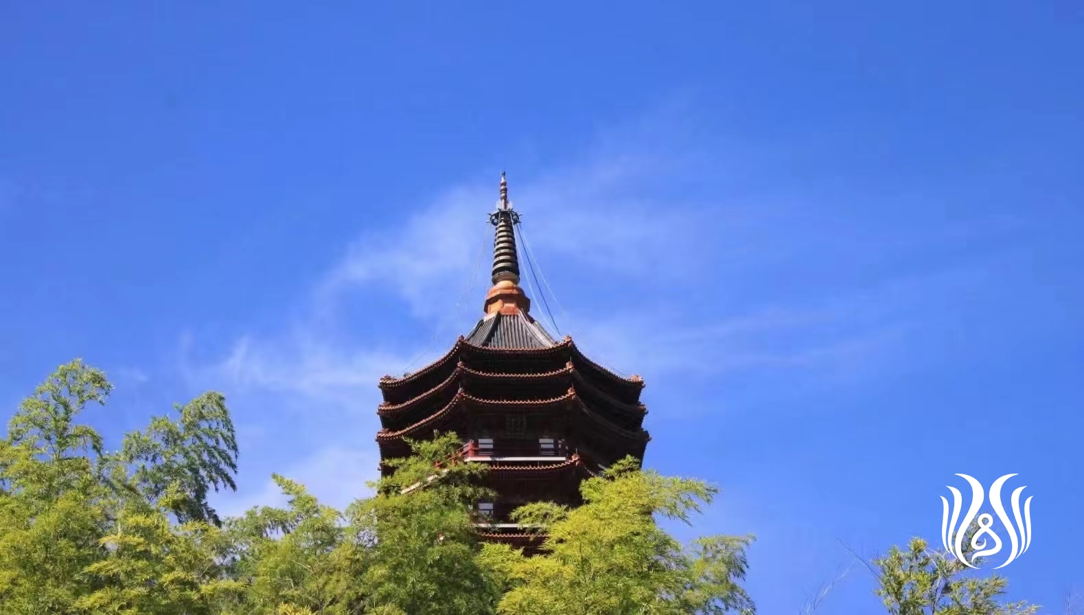 帝国憲法、帝国議会、そして人心 | 発信記事 | 法学館憲法研究所
