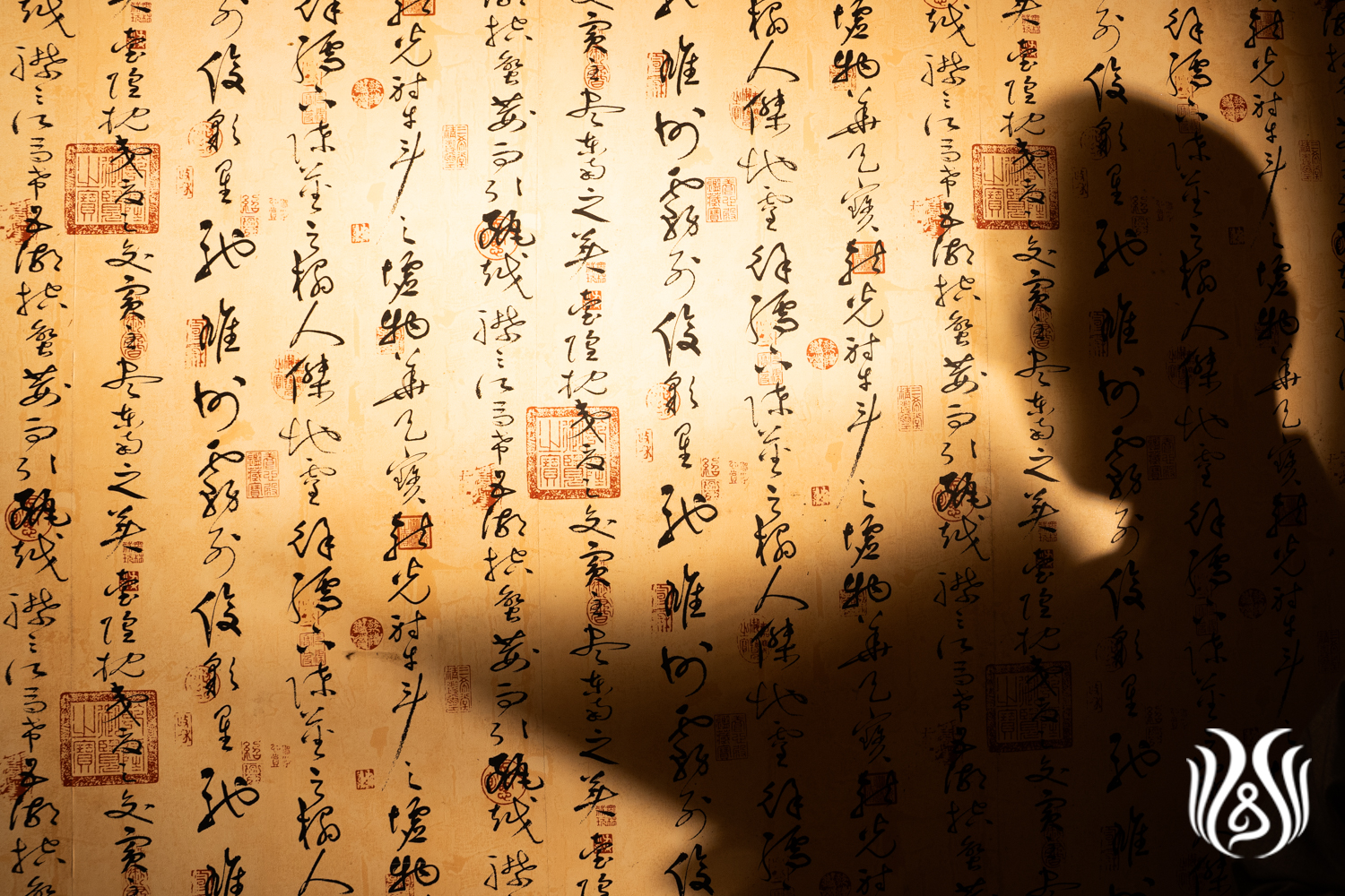 普陀山佛学院、人物、、僧众、江良辰39.jpg