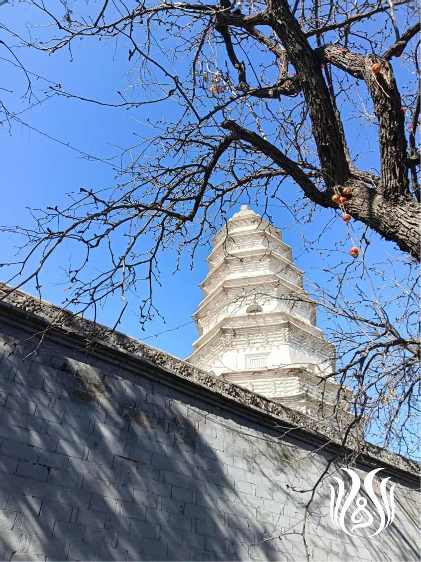 道场就在你心中.jpg