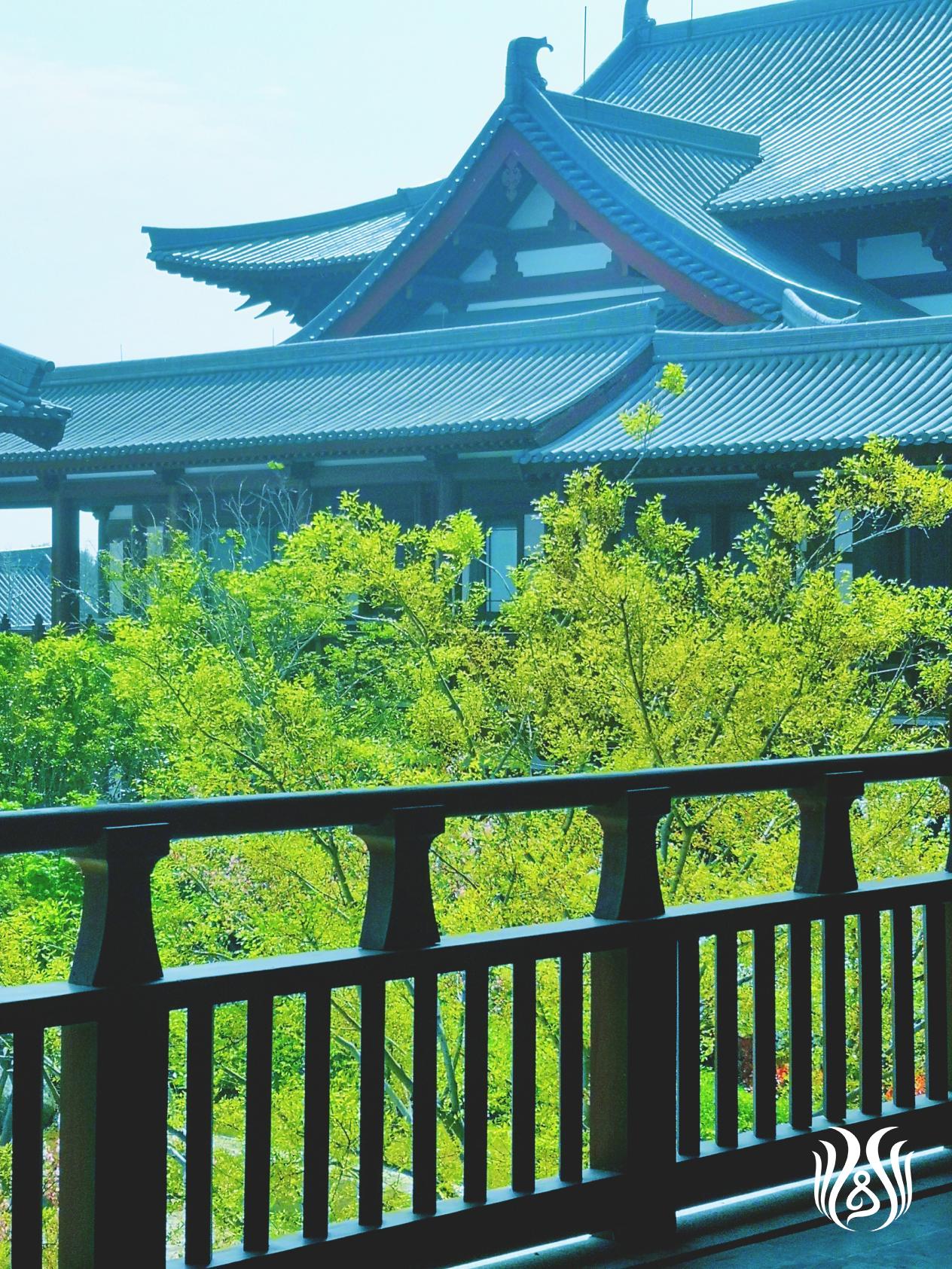 劝君惜取学院时.jpg