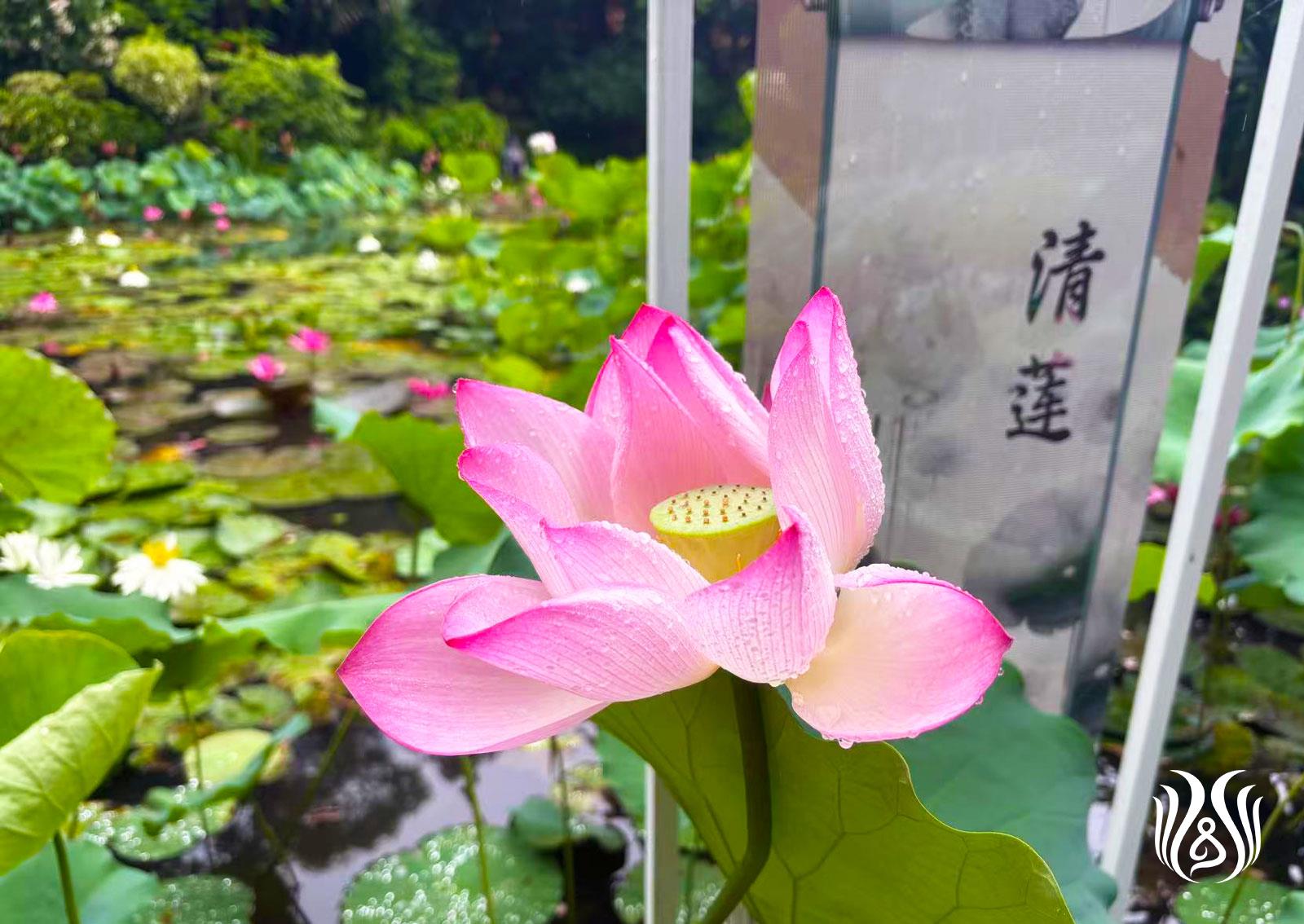 微信图片_20250620154832.jpg