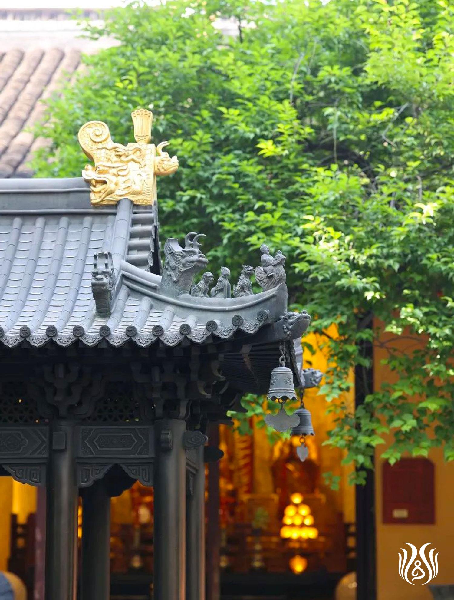 丛林清规.jpg