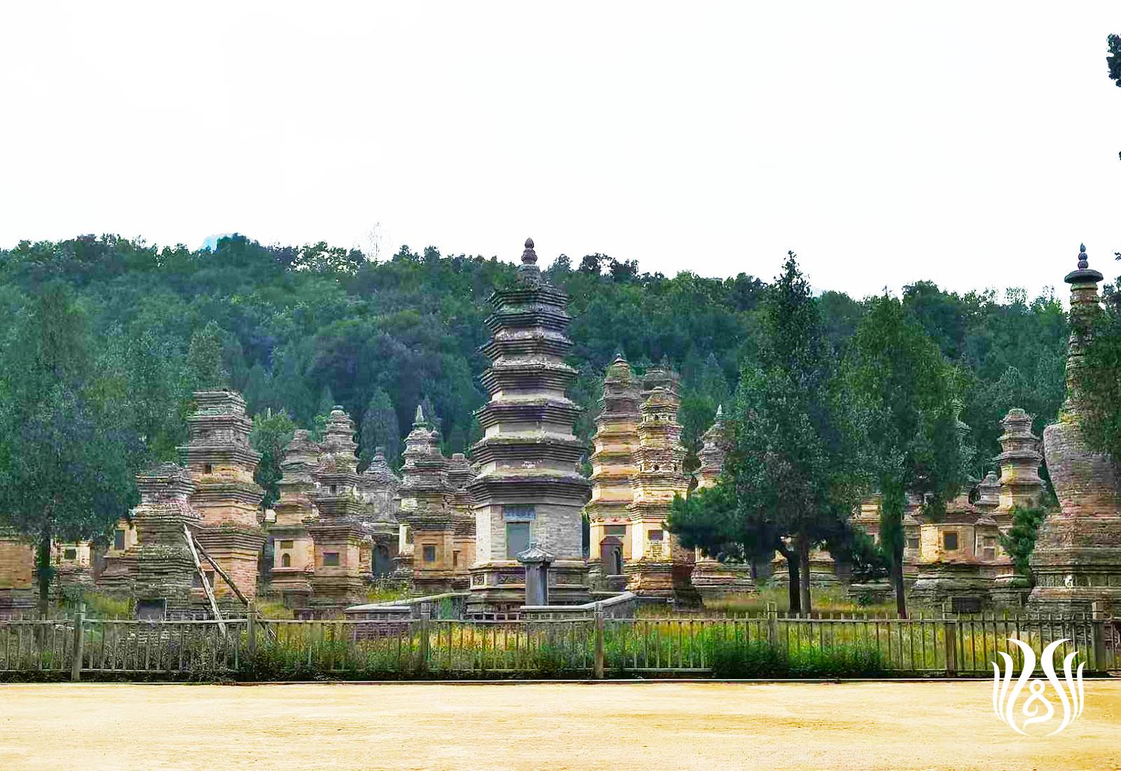 微信图片_20250827200228_85_9.jpg