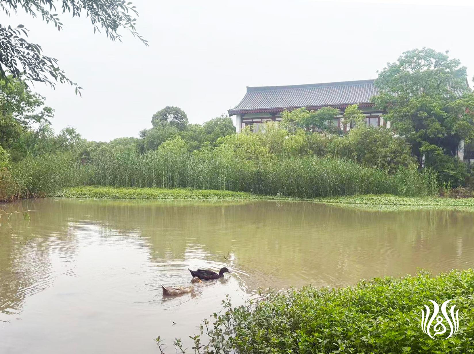 微信图片_20260521102139_40_235.jpg