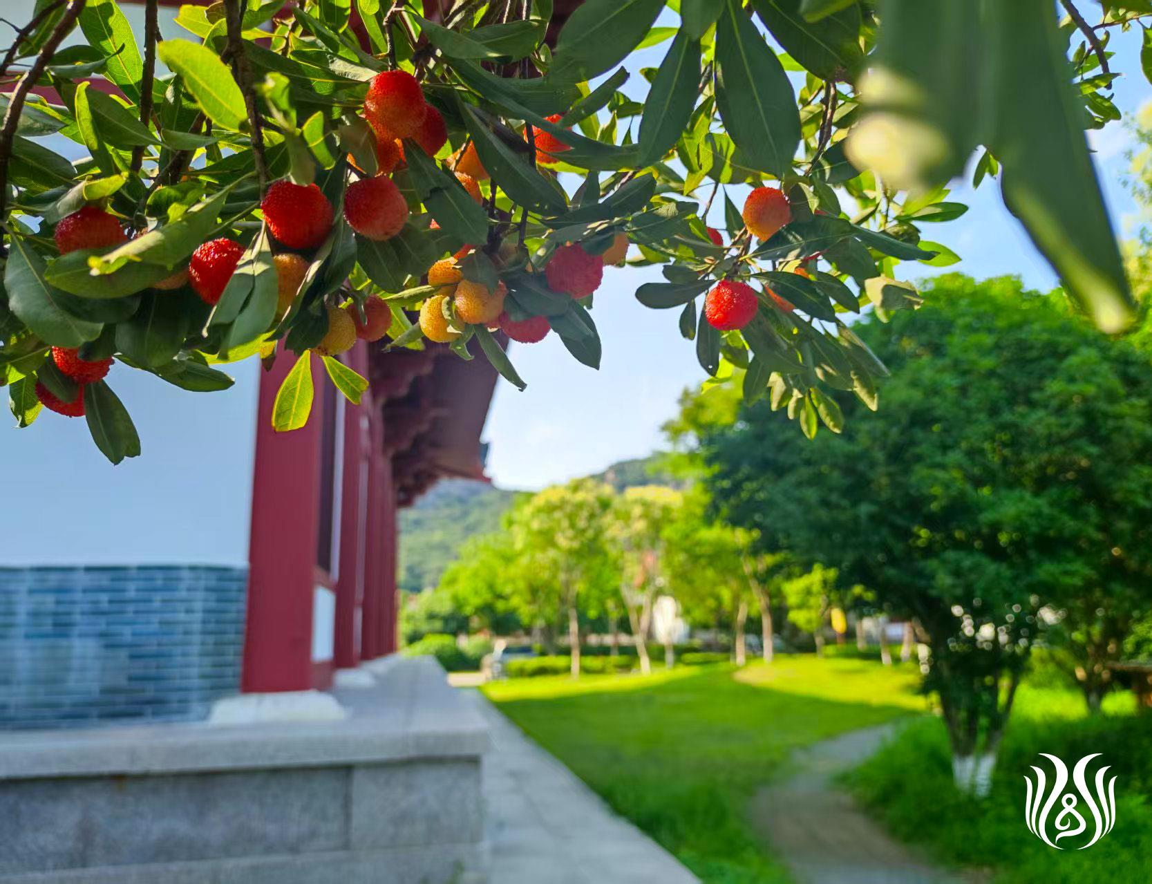 微信图片_20260718094957_114_250.jpg