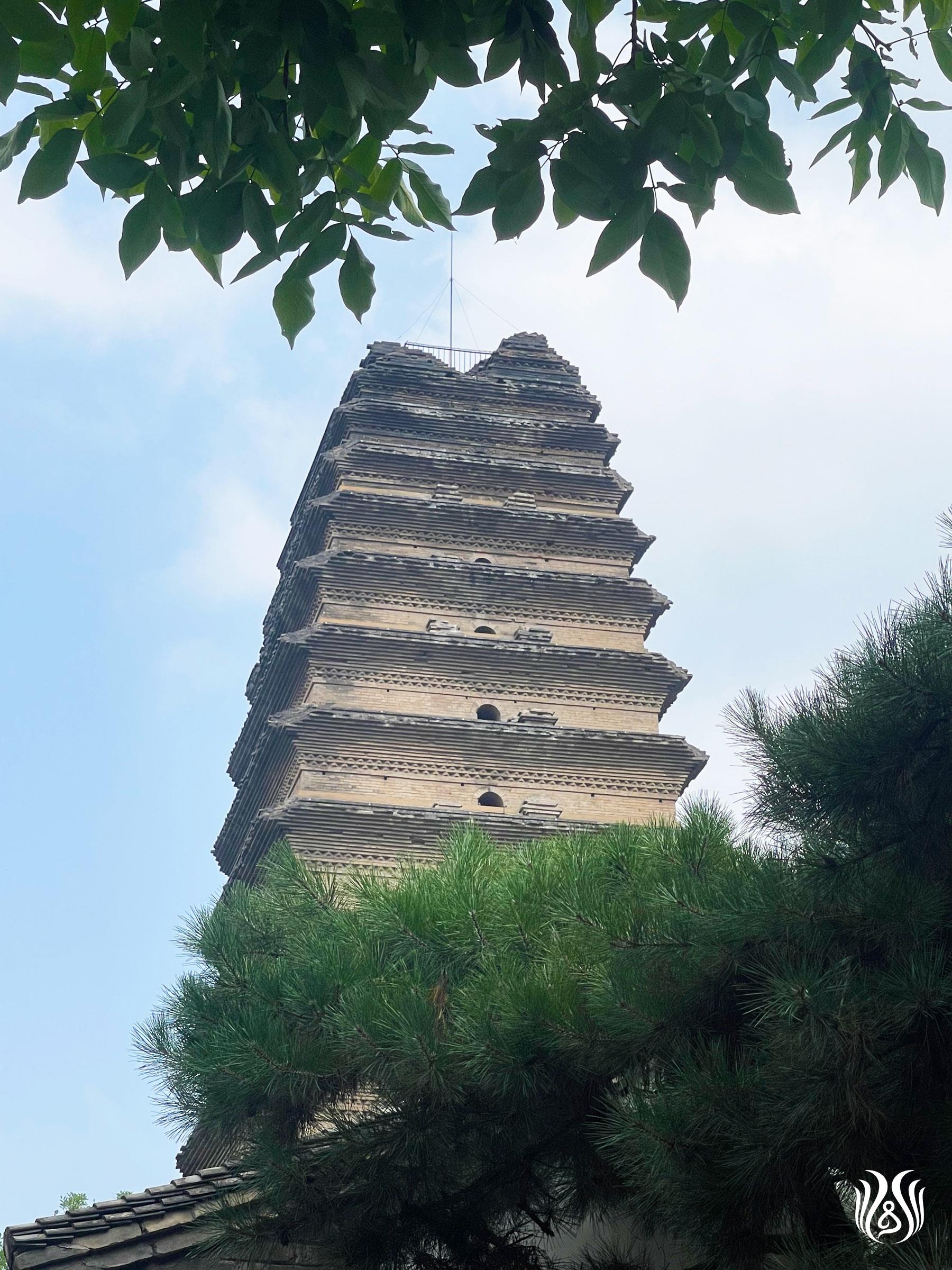 微信图片_20260814211254_2274_17.jpg