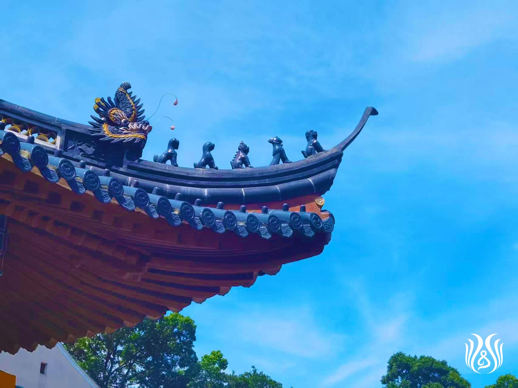 微信图片_20260906202659_2487_17.jpg