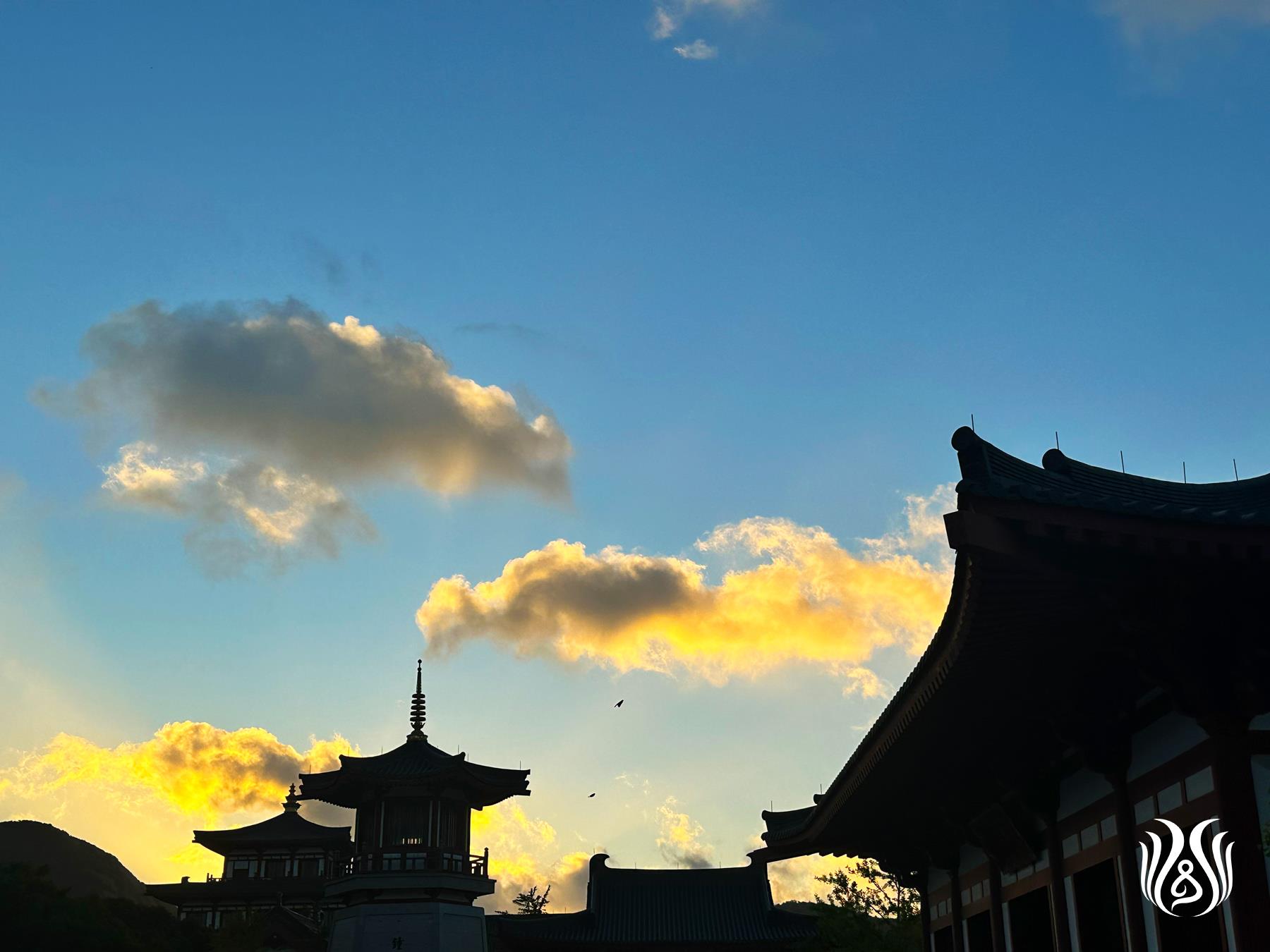 图片31.jpg
