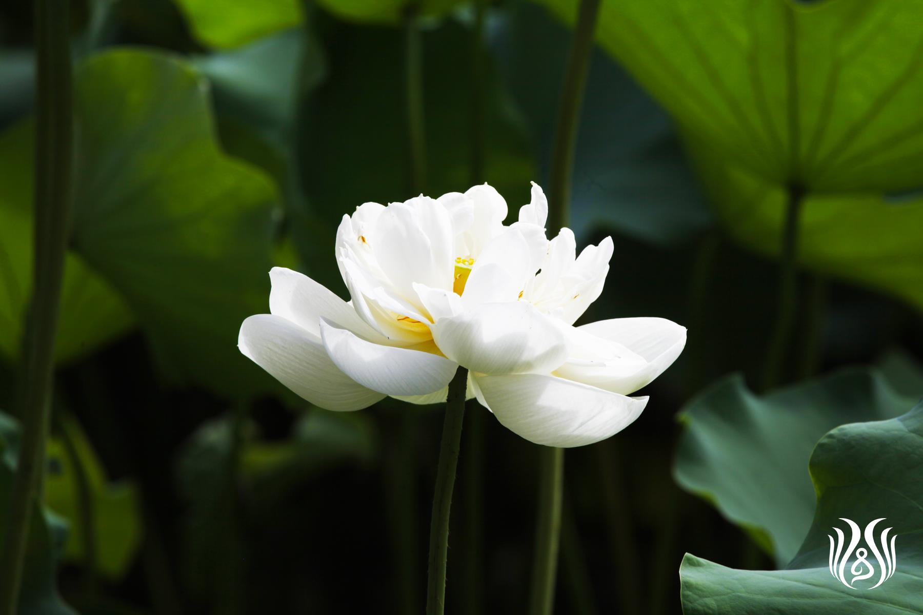 微信图片_20261004201118_2873_17.jpg